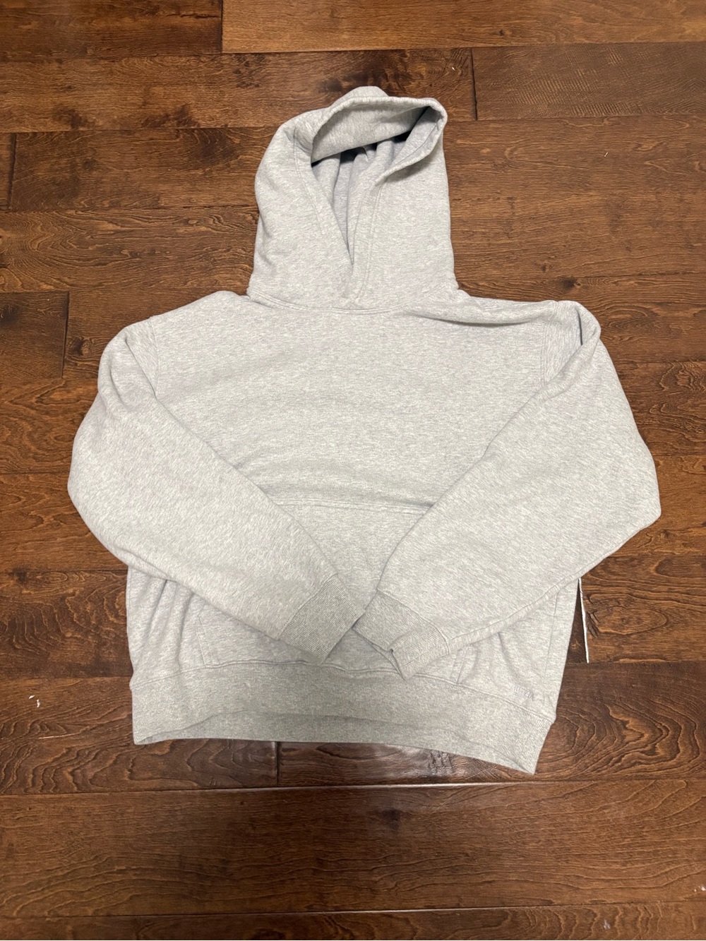 Aritzia Perfect Hoodie
